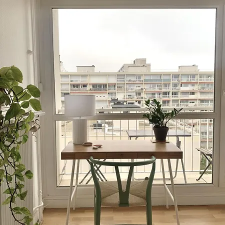 Chambre Tout Confort, Spacieuse, Calme Et Lumineuse Avec Balcon Homestay Paris
